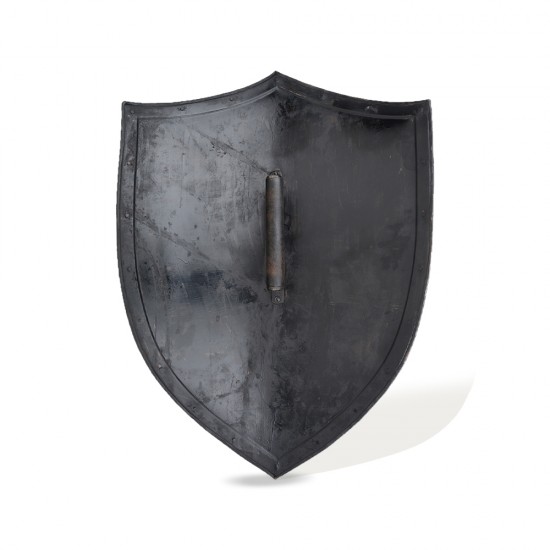 Iron Lion Shield